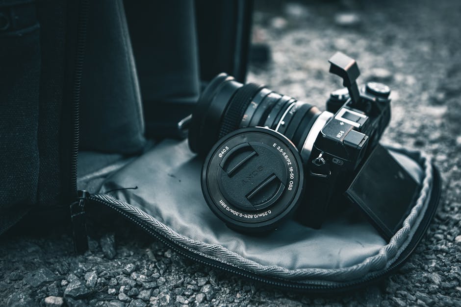 Professional camera equipment